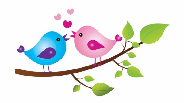 Совята на ветке