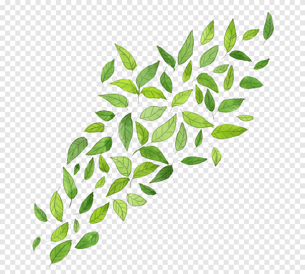 Орнамент листочки