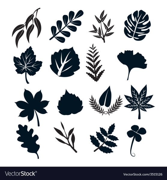 Наклейки на черном листе