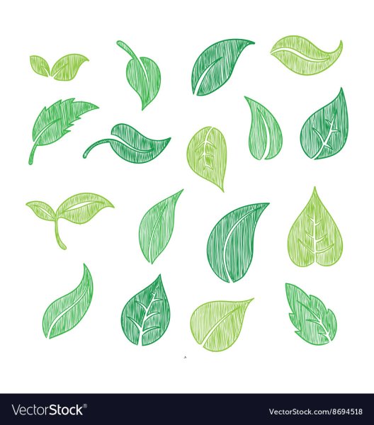 Векторные листочки