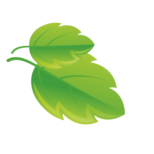 Векторные стилизованные листья