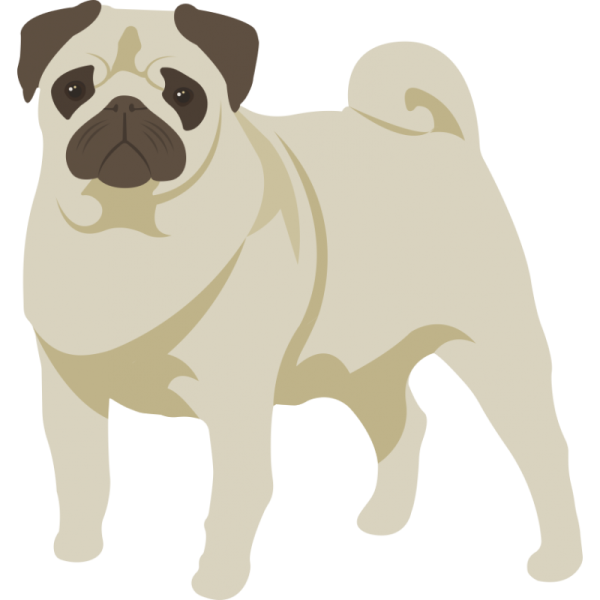 Наклейки для срисовки