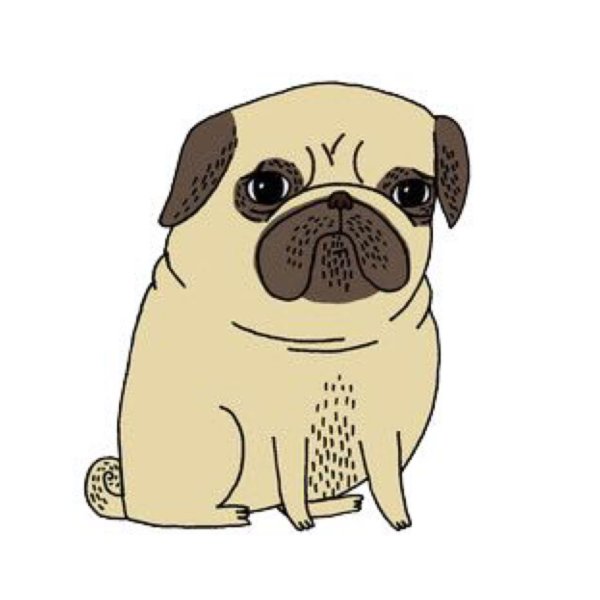 Стикер грустный мопсик