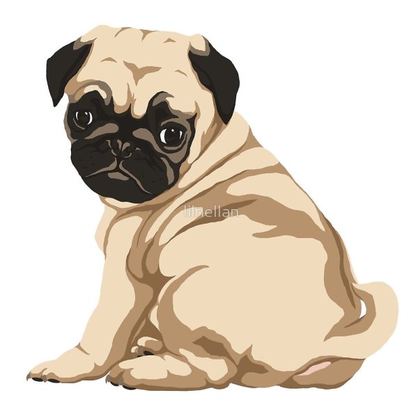 Стикеры Мопс