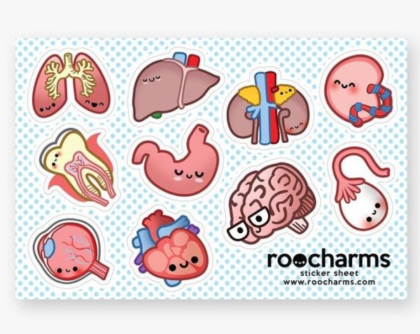 Наклейки биология