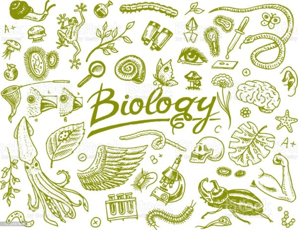 Рисунки в стиле биологии