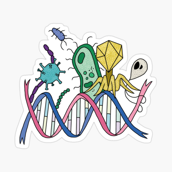 Биологические наклейки