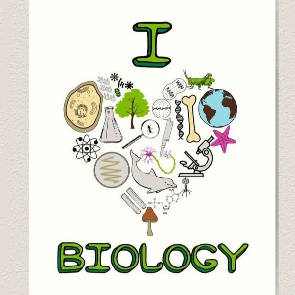Стикеры по биологии