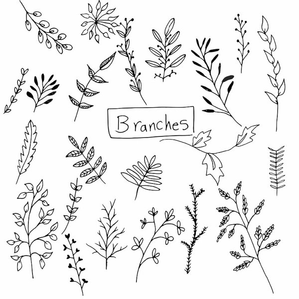 Веточки для ежедненикарисунок