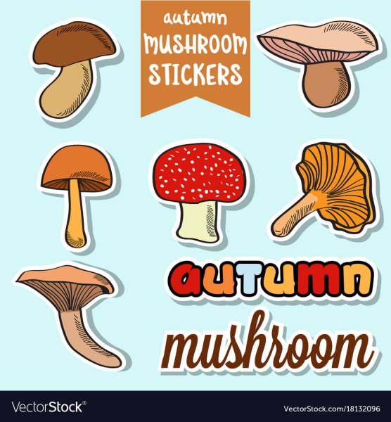 Гриб осенний стикер