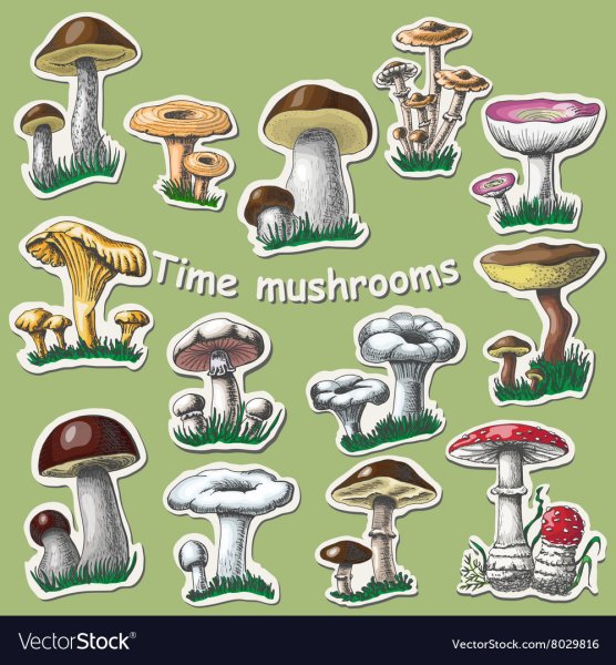 Наклейки грибы и ягоды