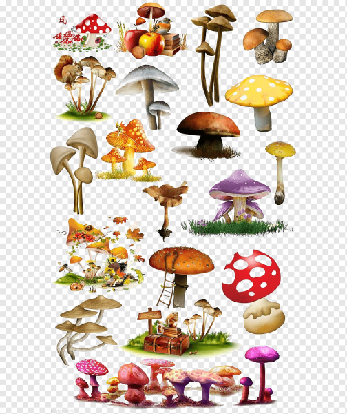 Грибы коллаж для детей