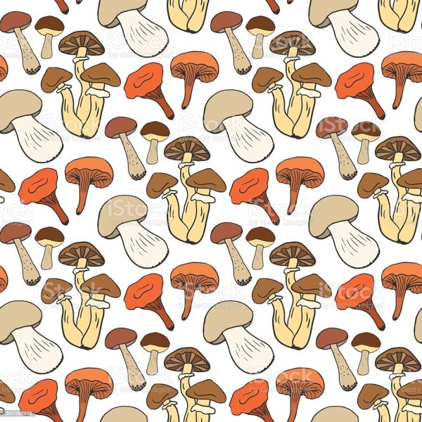 Текстура гриба