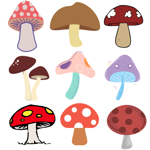 Грибы (с наклейками)