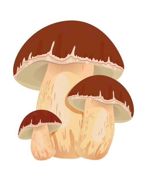 Гриб на белом фоне мультяшный