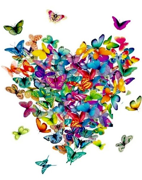 Сердечко из бабочек