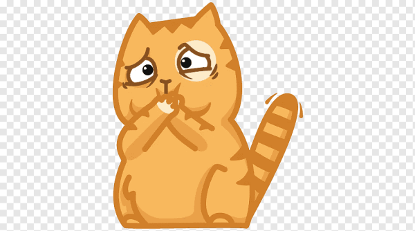 Котик персик