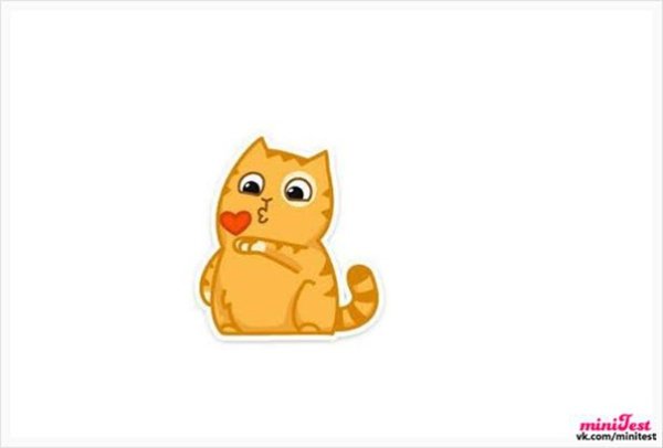 Кот персик поцелуй