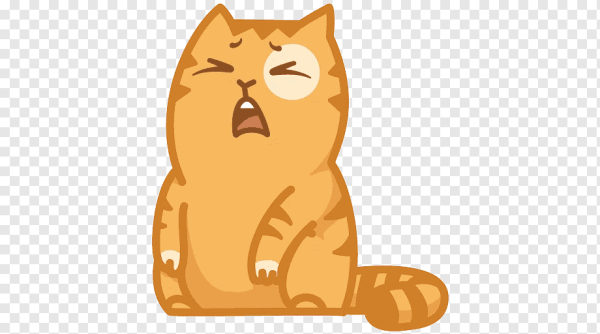 Стикеры. Кот