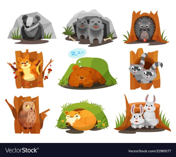 Лисья Нора вектор