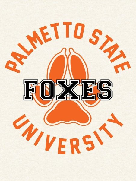 Лисы Пальметто логотип