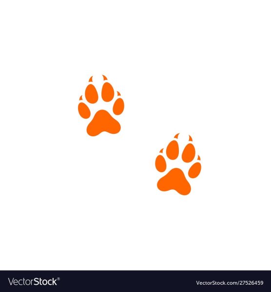 Эскиз лисы для иллюстратора