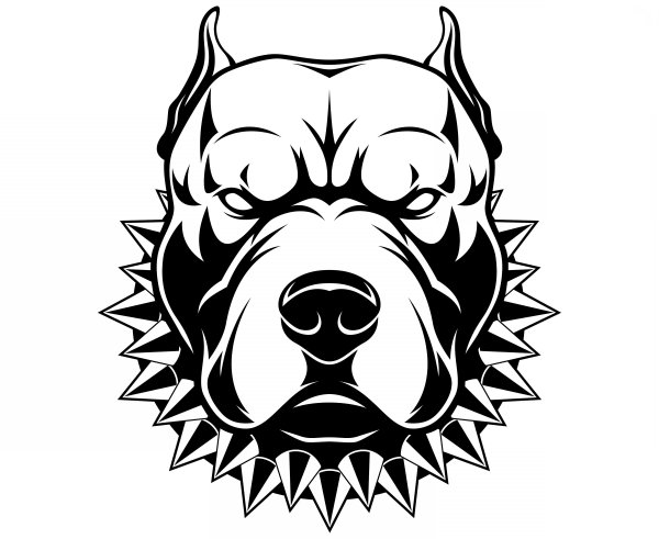 Тату питбуля эскизы