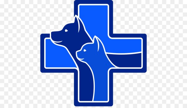 Синий крест Ветеринария