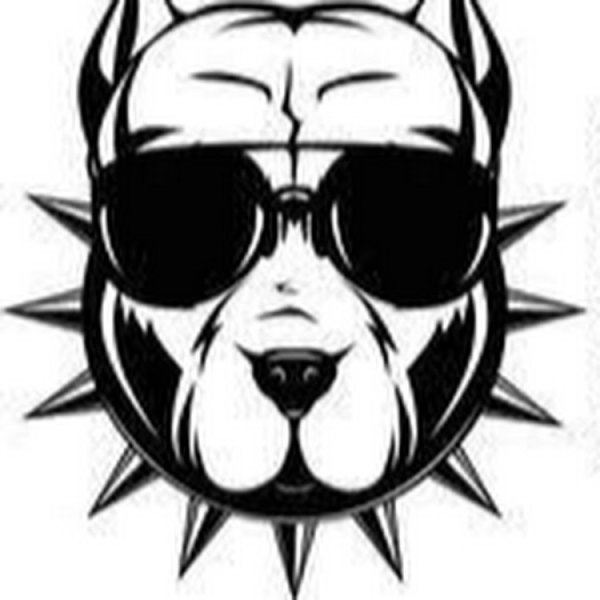 Питбуль в очках вектор