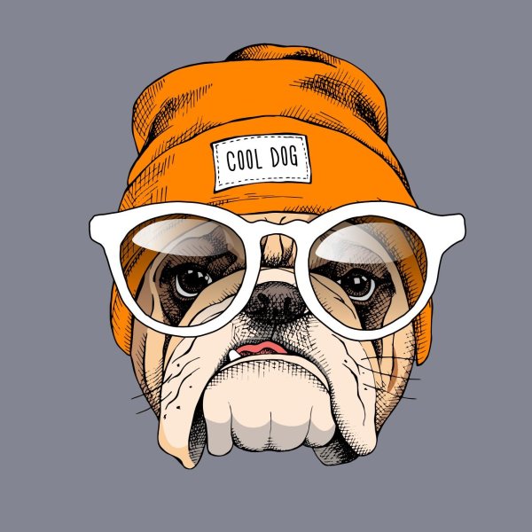 Собака в очках арт