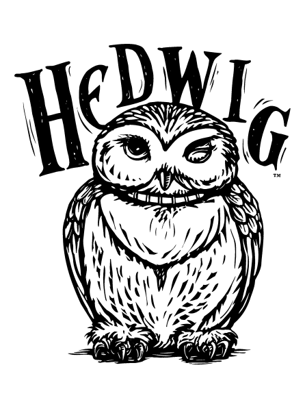 Раскраска Сова Хедвиг Гарри Поттер