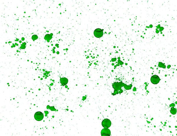 Зеленая точка на прозрачном фоне