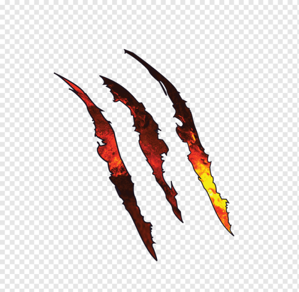 Следы когтей