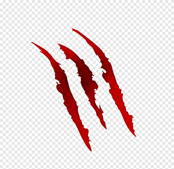 Тату царапины от когтей