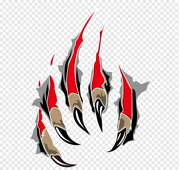 Царапины от когтей медведя