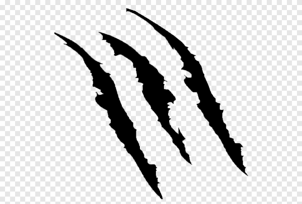 Следы царапин