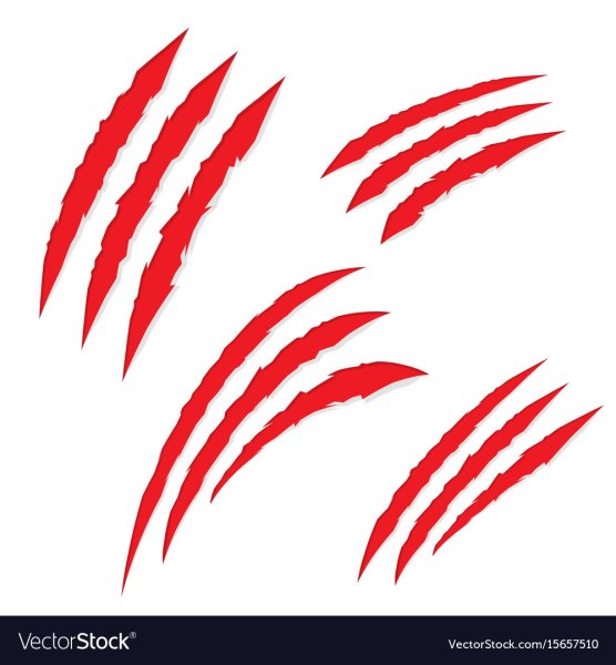 Царапины от когтей кошки