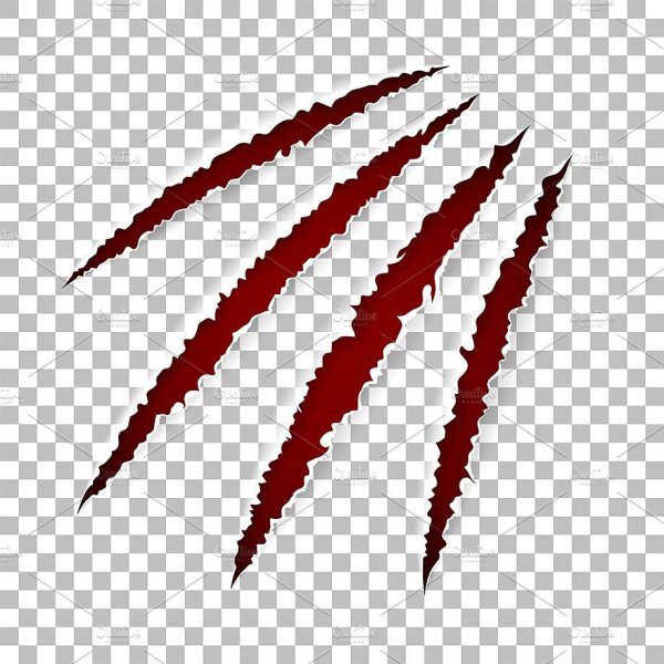 Кровавый след от когтей