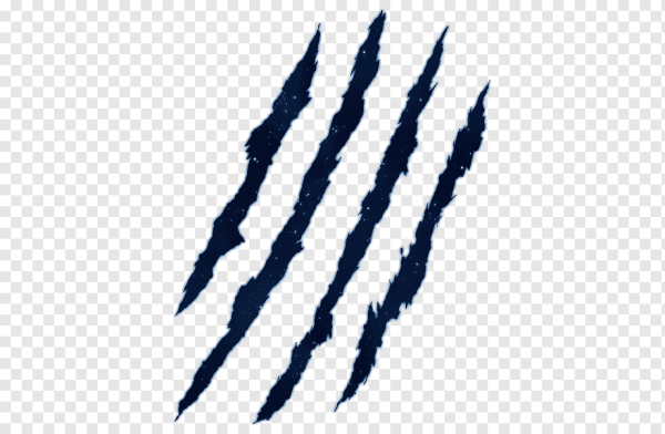 След от когтей тигра