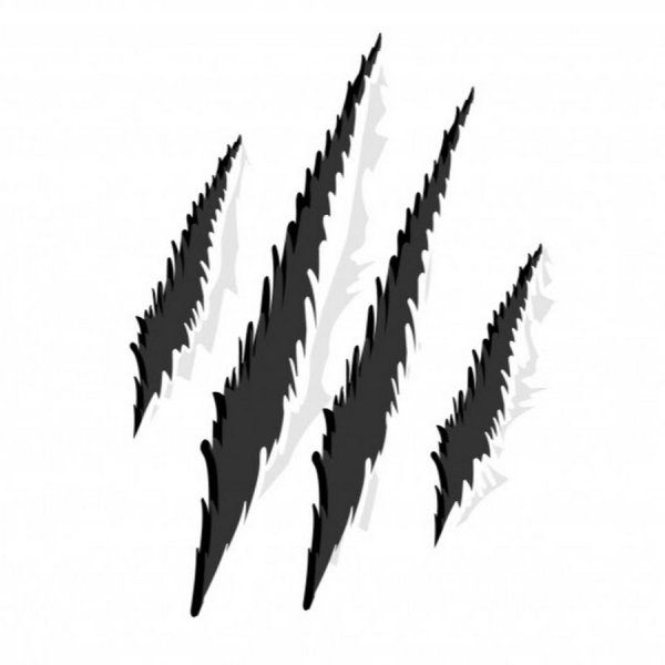 Следы когтей