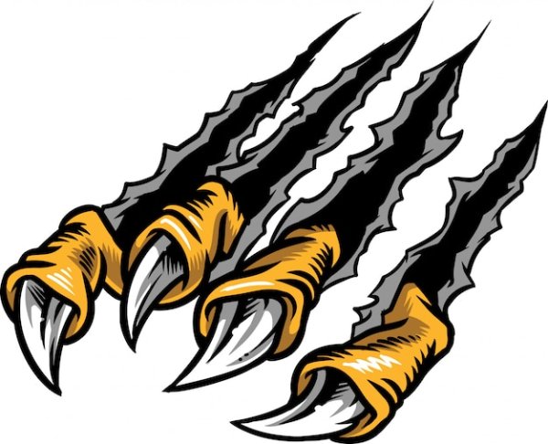 Лапа с когтями вектор