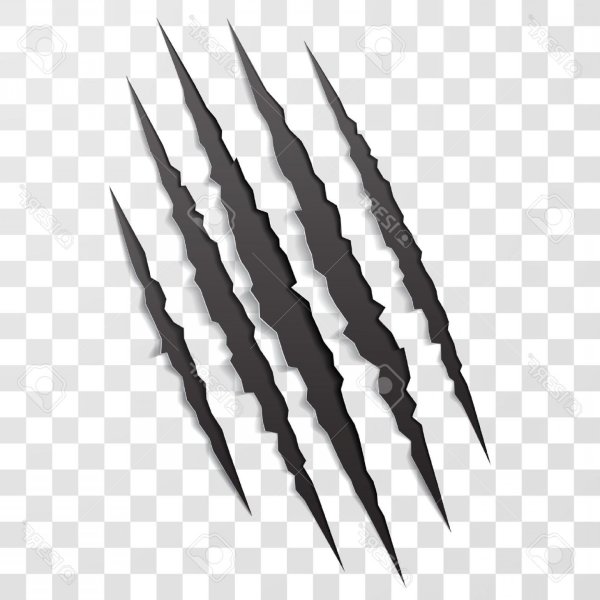 Следы когтей Росомахи