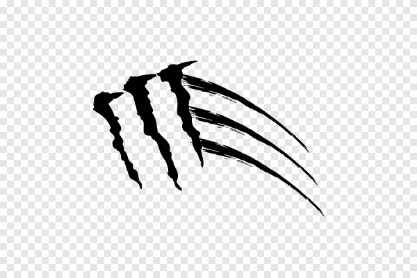 Когти на черном фоне