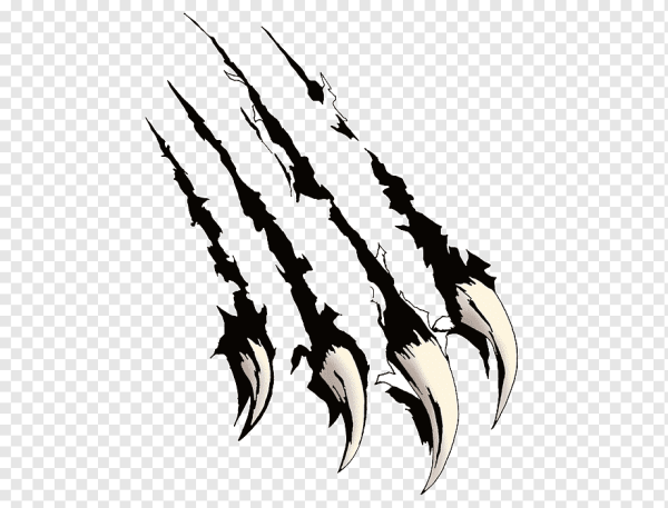 След когтей тигра