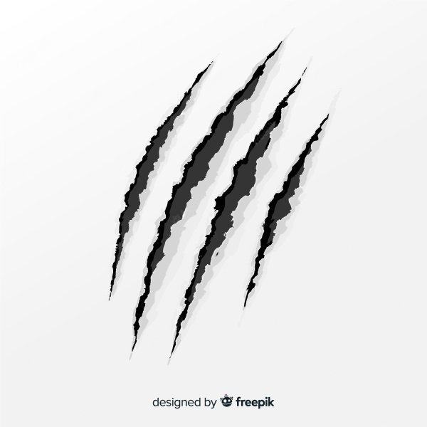 Следы когтей