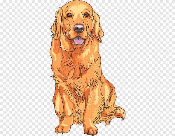 Золотистый ретривер вектор