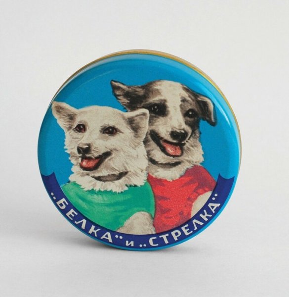 Герои мультфильма белка и стрелка озорная семейка