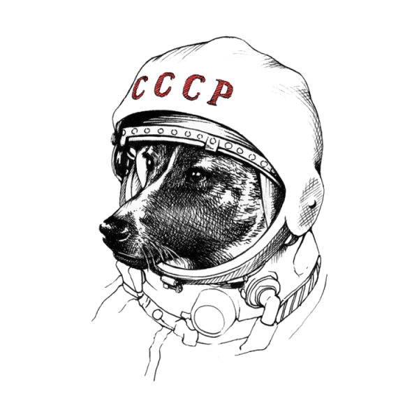 Собака Минимализм