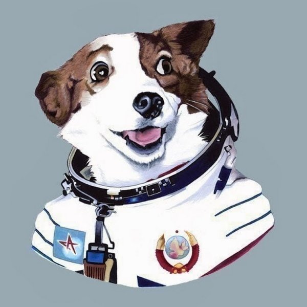 Мультфильм белка и стрелка тайна космоса