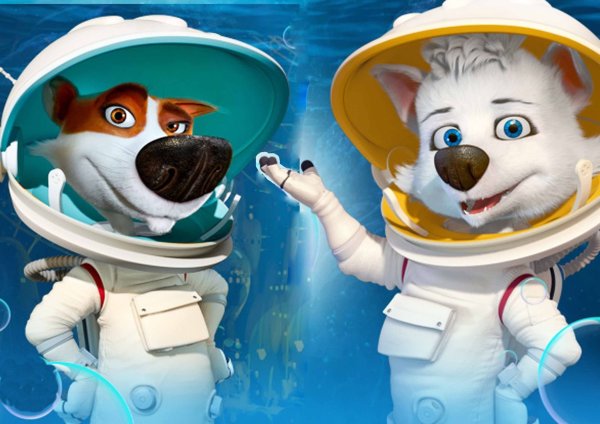 Аппликация белка и стрелка в космосе